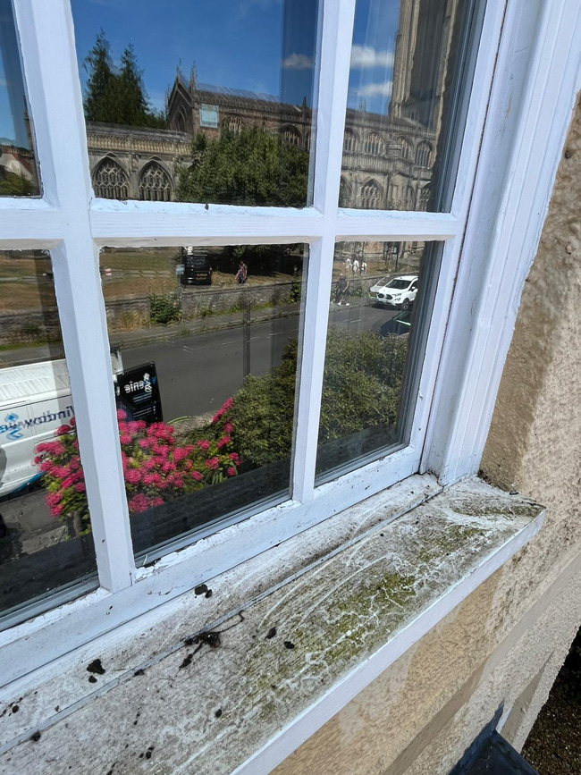 Clean fascia boards and uPVC cleaning service - before