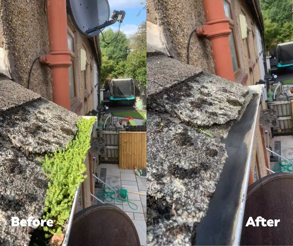 Gutter cleaning service