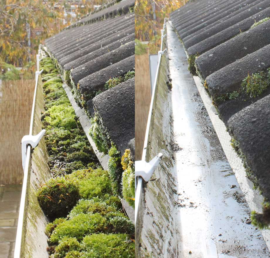 Gutter cleaning transformation 2 - after