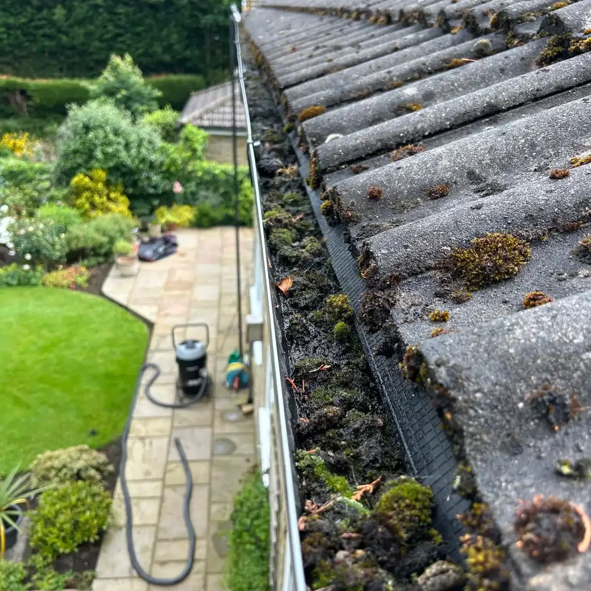 Gutter cleaning transformation 1 - before