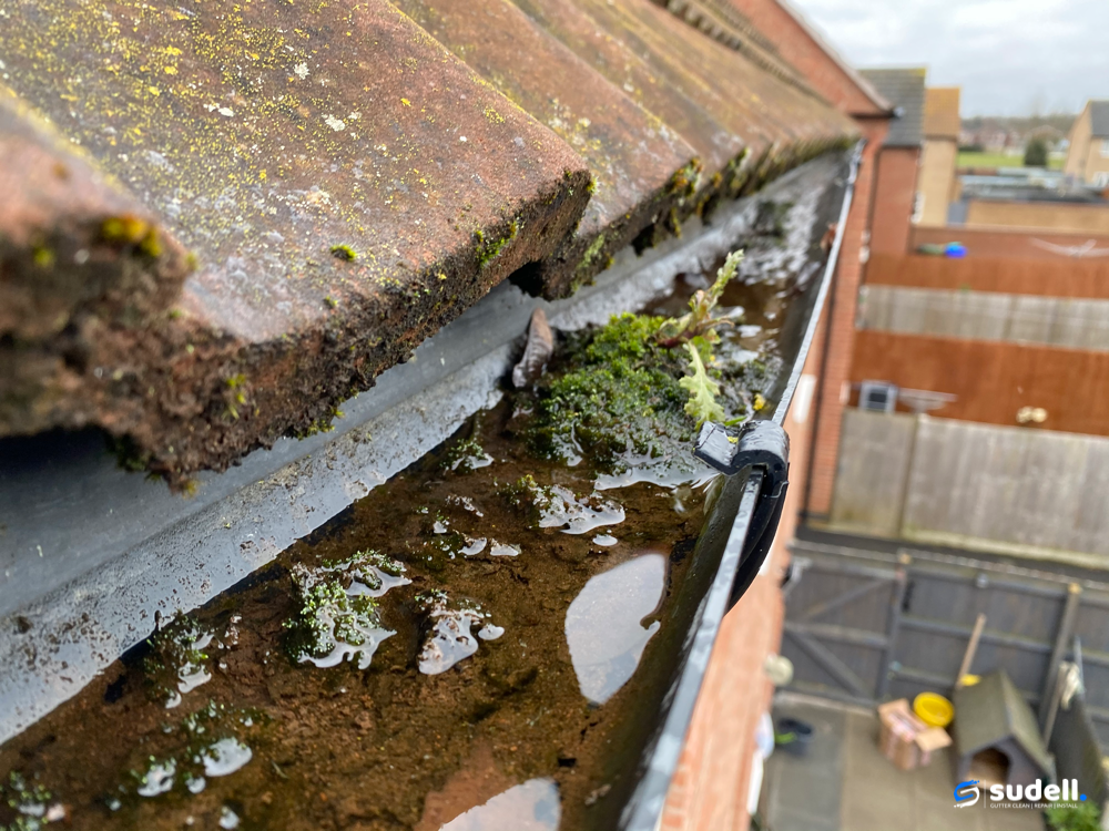 Gutter cleaning transformation 2 - before