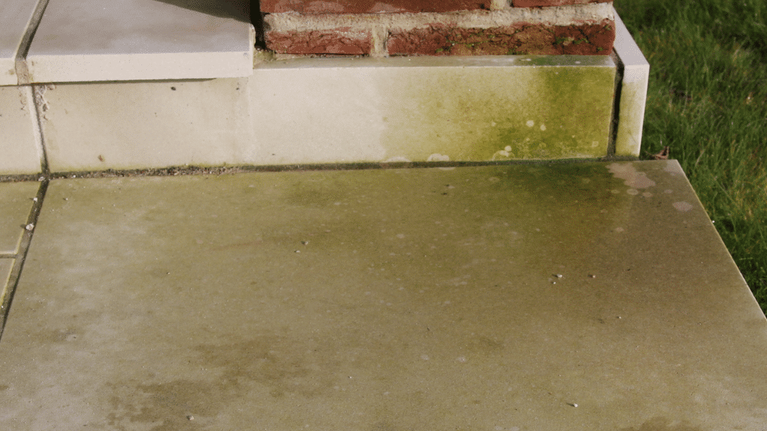 Commercial property cleaning transformation 2 - before