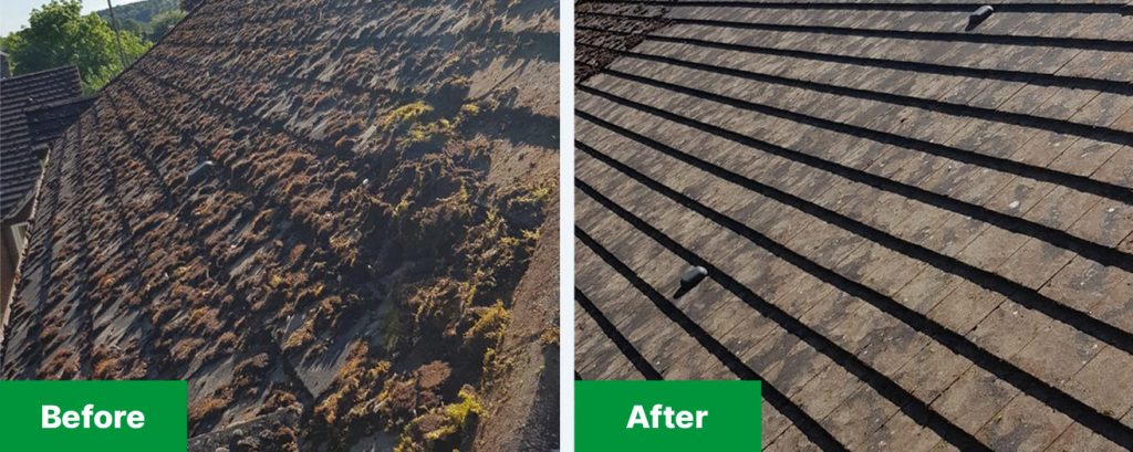 Roof cleaning transformation 2 - after