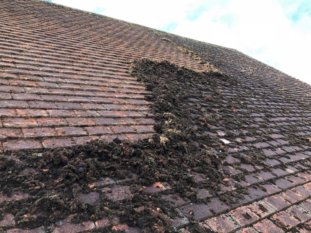 Roof cleaning transformation 1 - before