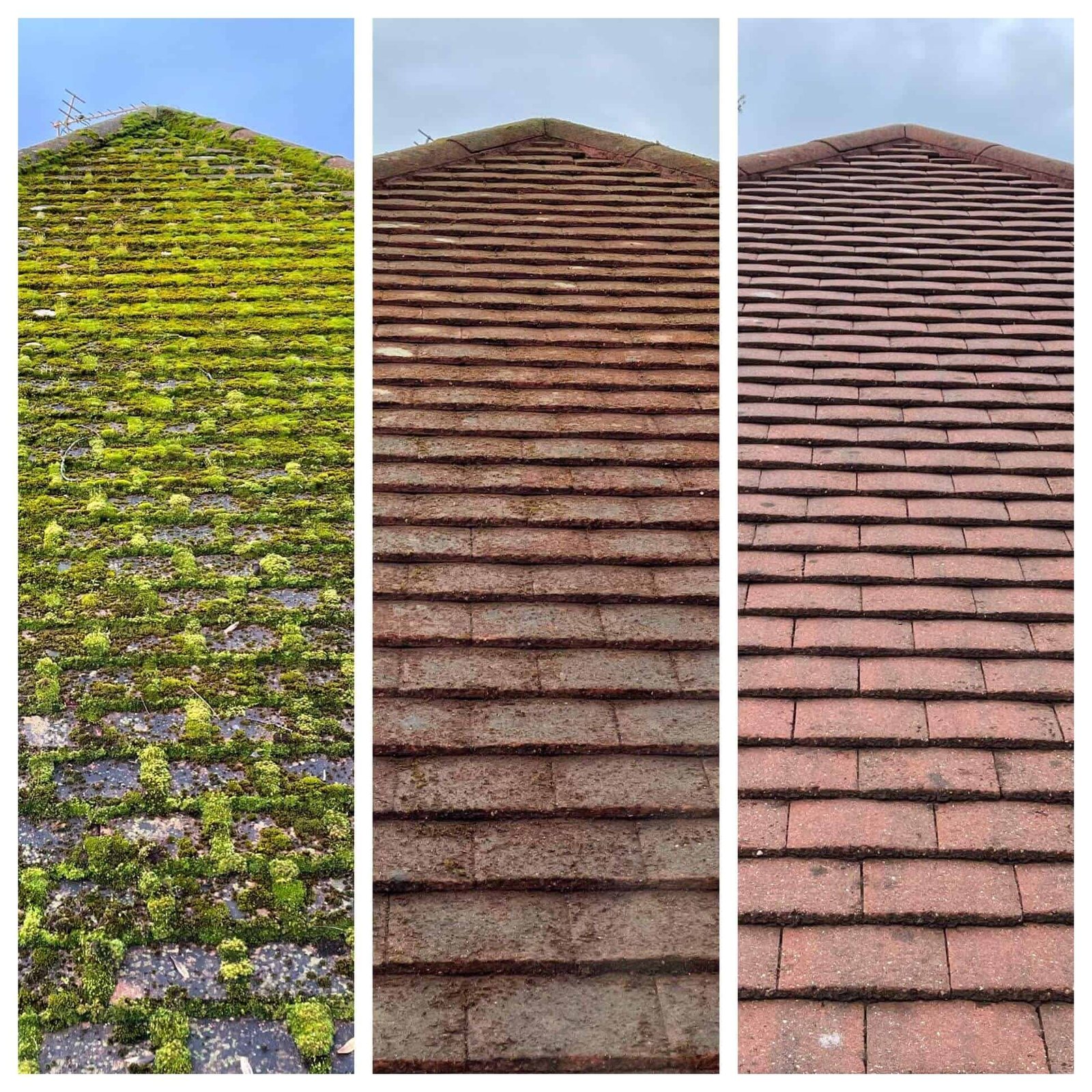 Roof cleaning transformation 2 - before